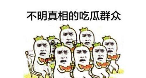 吃瓜群众百度百科下载