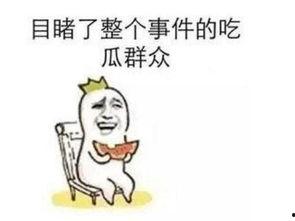 吃瓜事件是什么意思,网络舆论场中的热点追踪与反思