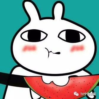 吃瓜群众 表情,揭秘网络时代的社交密码